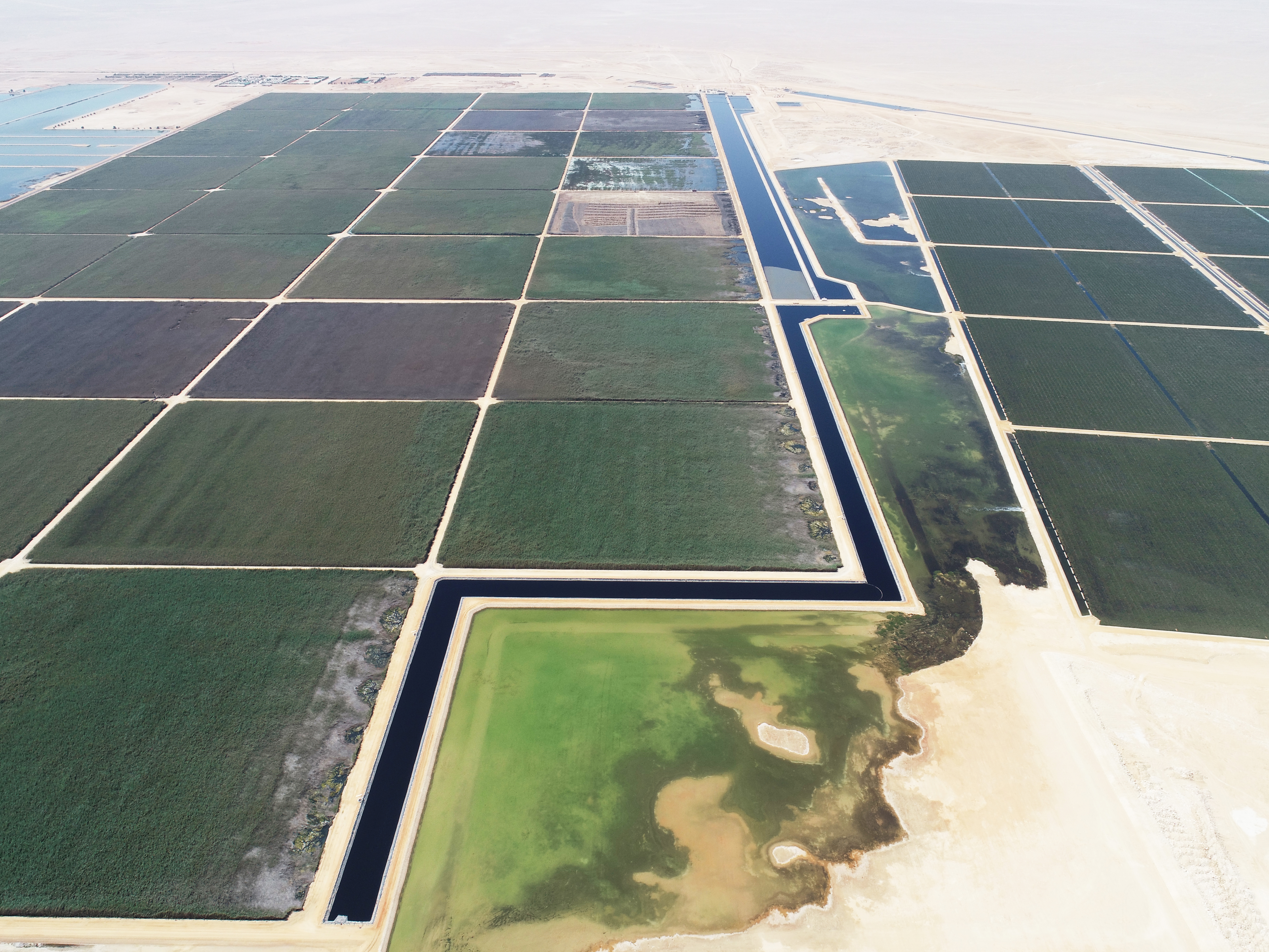 Constructed Wetland Nimr of Bauer Resources